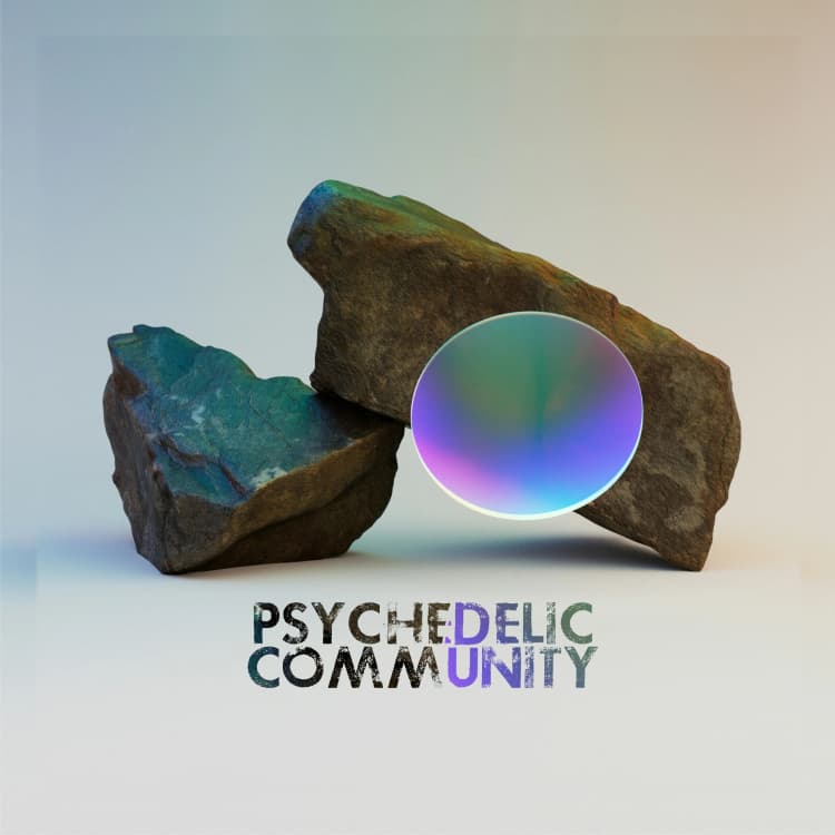 PSYCHEDELIC COMMUNITY